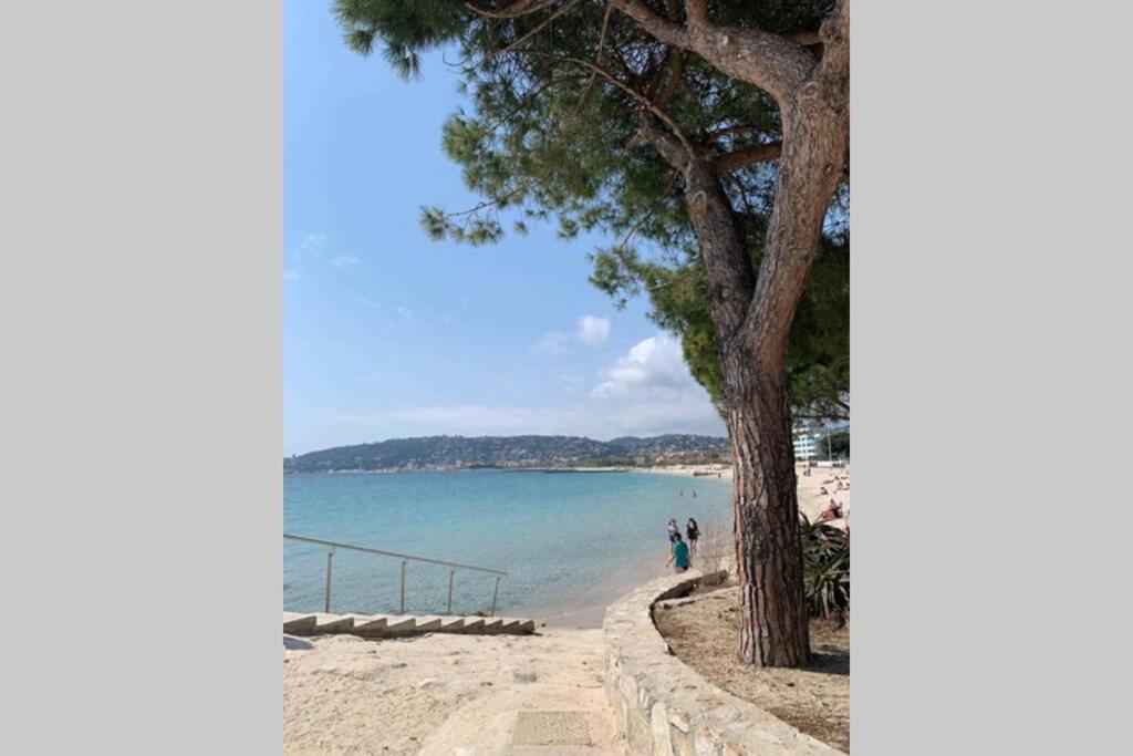 Juan Les Pins Joli T2 Parking Inclus! * Antibes